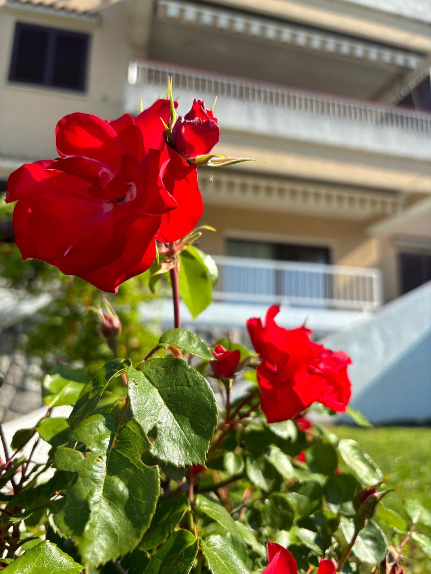 Va Kastav Apartamento Exterior foto